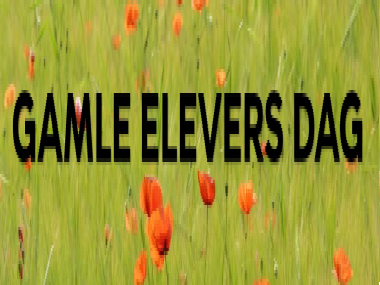 Vi håber at se rigtig mange tidligere elever her på Lykkebo Skole til GAMLE ELEVERS DAG fredag d. 31/10, kl. 17.00 - 19.00.